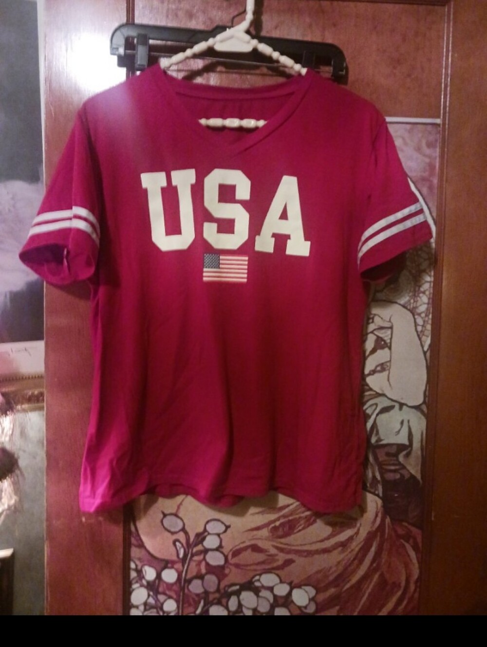 USA Graphic Tee - Red
